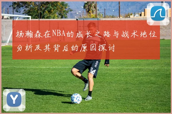 杨瀚森在NBA的成长之路与战术地位分析及其背后的原因探讨