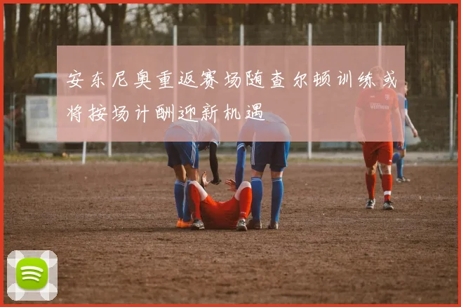 安东尼奥重返赛场随查尔顿训练或将按场计酬迎新机遇